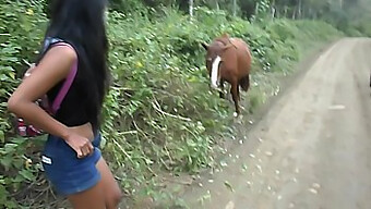 Thai Teen Experiences A Wild Horse Riding And Creampie With A Big Cock