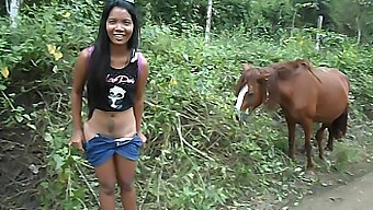 La Adolescente Asiática De Heatherdeep Disfruta De Una Enorme Polla De Caballo Y Eyacula