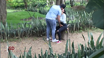 Placer Voyeurista En Un Parque Público Con Pilladas Y Espiando