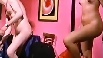 Paraíso Del Placer: Porno Vintage Clásico