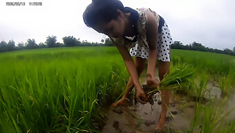 Une Séduisante Fille Asiatique En Paddy Field