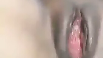 Amateur Tiener Geniet Van Anale Creampie Van Grote Lul