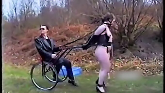 Ponygirls In Bdsm Training With 60 Fps