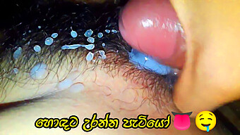 Big Cock In A Homemade Sinhala Porn Video With Orgasmic Close-Up